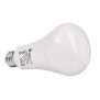 Deko-Light, Leuchtmittel, RF-smart, E27, DIM, 2700-6500 K, 220 Grad, 12 W