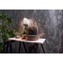 Wandaufbauleuchte, Albaldah Motion, 13,5 W, 3000 K, Grau, 220-240 V/AC