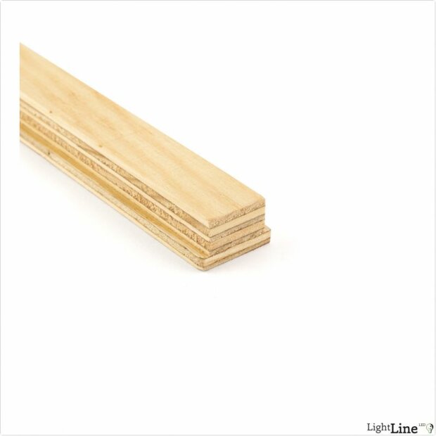 Light Line Montageleiste Ortbeton 1m