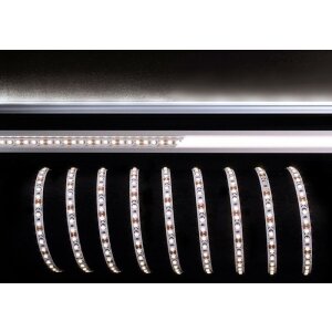 Deko-Light, Stripe, 3528-120-12V-4000K-5m-Nano