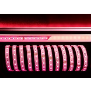 5050-60-24V-RGB+6200K-5m-Silikon