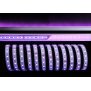 5050-60-24V-RGB+6200K-5m-Silikon