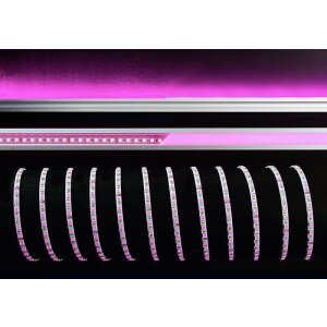 Deko-Light, Stripe, 3535-120-24-RGB-5m