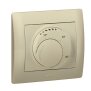 Einsatz Raumthermostat Standard Galea Farbe: Titan