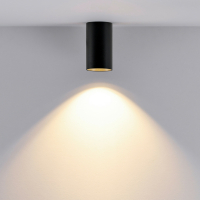 Deckenaufbauleuchte - Can IP20, 1x 7,5 W GU10, Schwarz