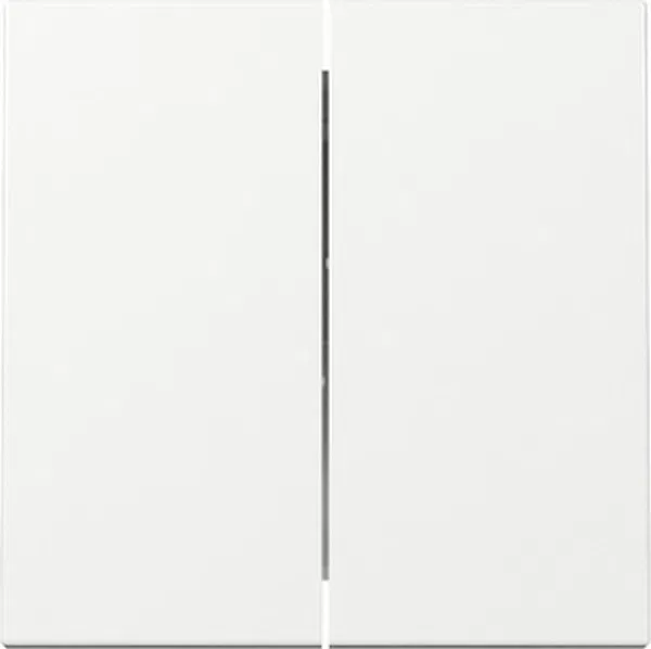 GIRA 1 Wippe_2t Schalter rws glz