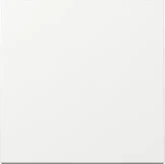 GIRA 21 Wippe Schalter rws glz