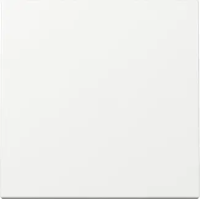 GIRA 21 Wippe Schalter rws glz