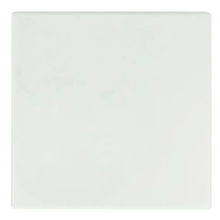 BUSCH-J.02  Wippe 1t Schalter Busch-balance SI aws glz