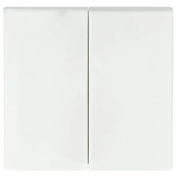 BUSCH-J.01 Wippe 2t Schalter Busch-balance SI aws glz