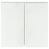 BUSCH-J.01 Wippe 2t Schalter Busch-balance SI aws glz