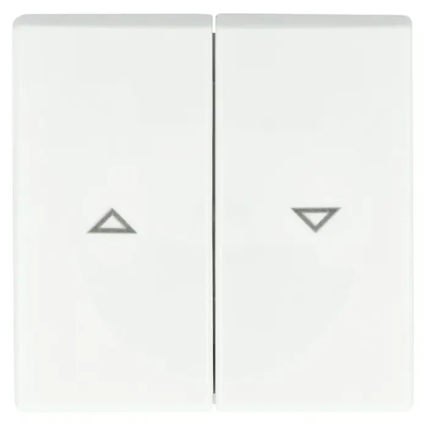 BUSCH-J.01 Wippe 2t Jalousie Busch-balance SI aws glz