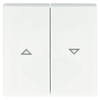 BUSCH-J.01 Wippe 2t Jalousie Busch-balance SI aws glz