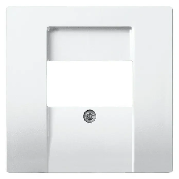 BUSCH-J.01 Zentralplatte TAE Busch-balance SI aws glz