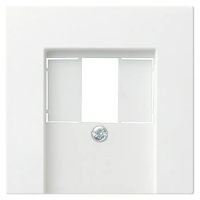 GIRA 1 Zentralplatte TAE 1f System 55 rws glz
