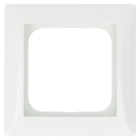 BUSCH-J.02 Rahmen 1f aws glz Busch-balance SI Kst