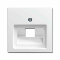 BUSCH-JAEGER Busch-balance SI Zentralplatte, UAE/IAE, 1f,...