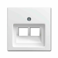 BUSCH-JAEGER Busch-balance SI Zentralplatte, UAE/IAE, 2f,...