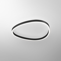 ECARIS P/M 50W+12W Deckenaufbauleuchte schwarz