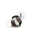 Pendelleuchte, Raphaelle, 6,6 W, DIM, 3000 K, 220-240 V/AC