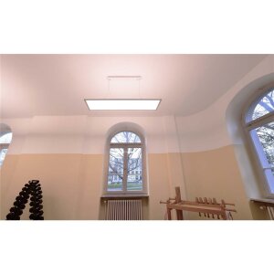 Pendelleuchte, LED Panel transparent 300x1200 mm, 51 W,...