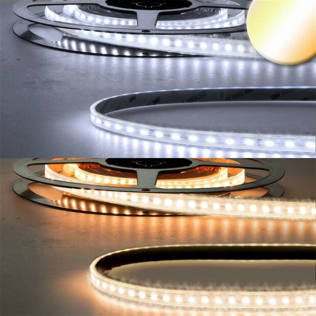 LED CRI923/950 CCT Flexband, 24V DC, 10W ww | 10W kw, IP68, 5m Rolle, 240 LED/m