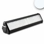 LED Hallenleuchte LN 100W, 30°x70°, IK10, IP65, 1-10V dimmbar, neutralweiß