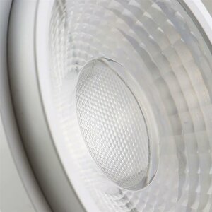 AR111 Fresh Meat Light 30W, 35°-50° variabel,...