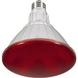 LED Reflektor PAR38 rot E27 220-240 V / 50-60 Hz nein IP66