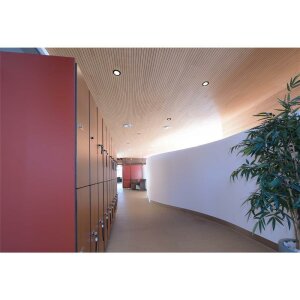 Deckeneinbauleuchte, Acrux 90 mm, 6 W, DIM, 3000/4000/6000 K, Silber, 220-240 V/AC